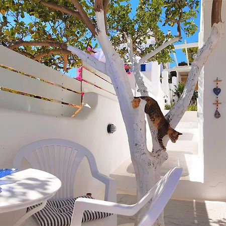 Lemon Tree Maisonette - Naoussa Paros Zewnętrze zdjęcie