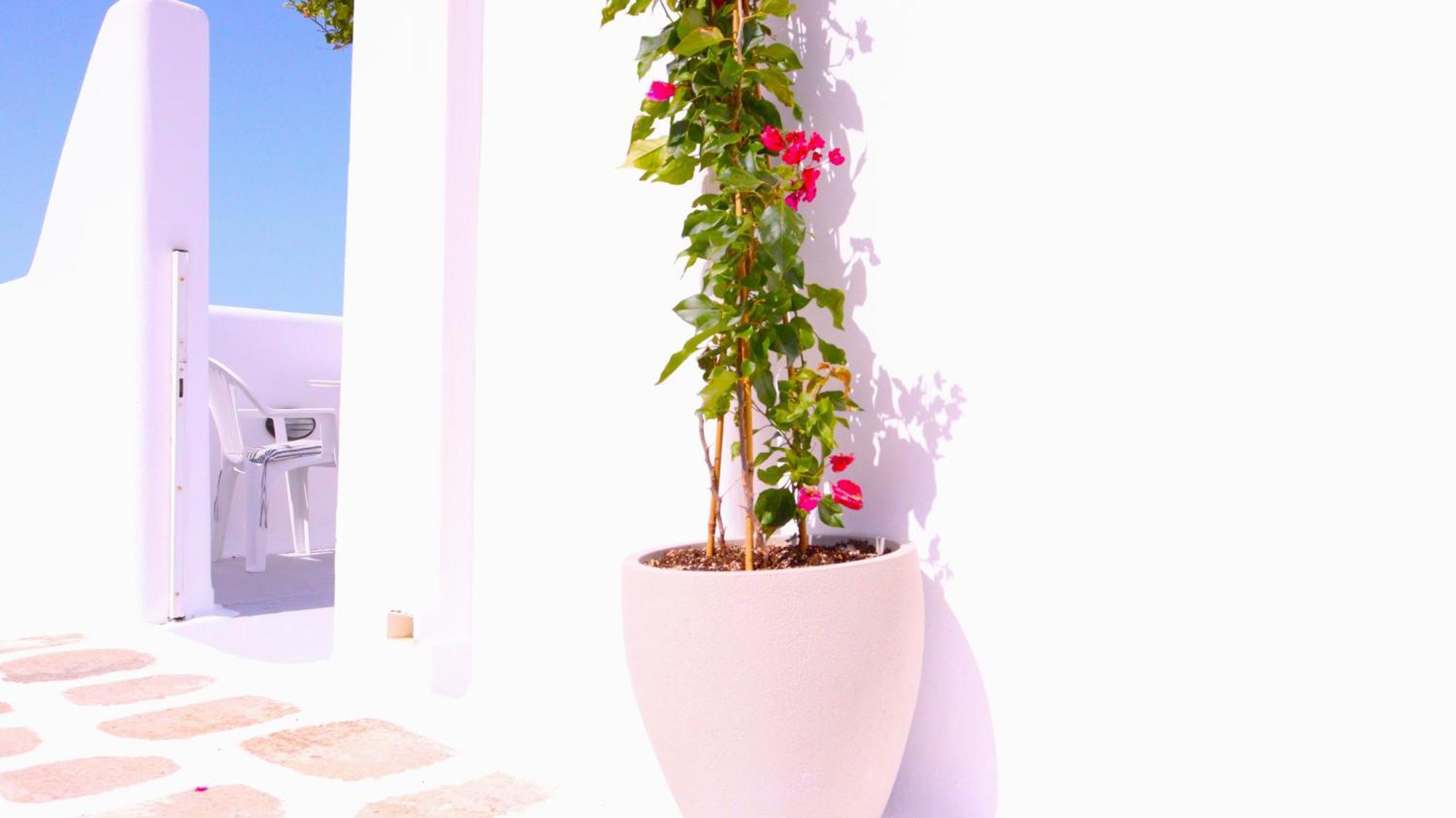 Lemon Tree Maisonette - Naoussa Paros Zewnętrze zdjęcie